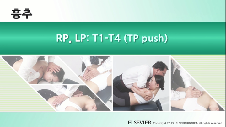 흉추_026_RP, LP T1-T4 (TP push)_v1